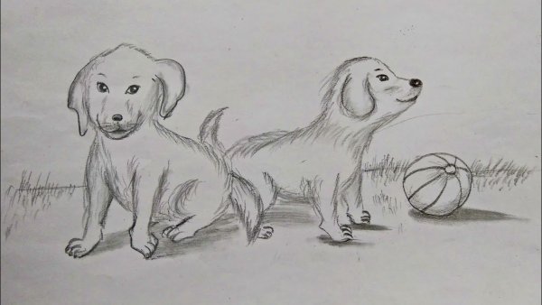 Рисуем овчарку с детьми