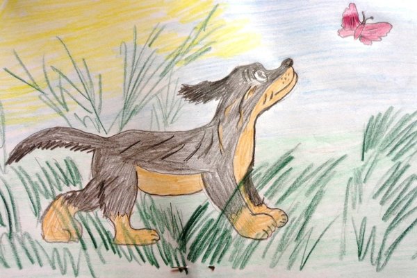 Иллюстрации к Кусаке Андреева