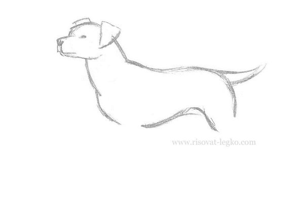 Виктор Драгунский дымка и Антон