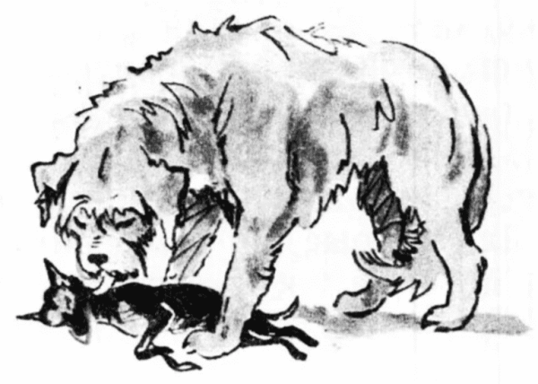 Кусака рисунок карандашом