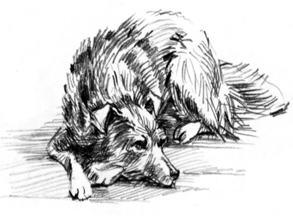 Куприн Барбос и Жулька