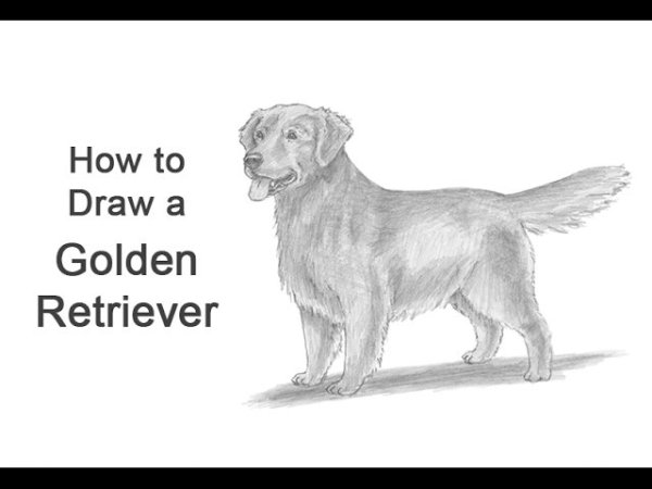 Драгунский дымка и Антон иллюстрации