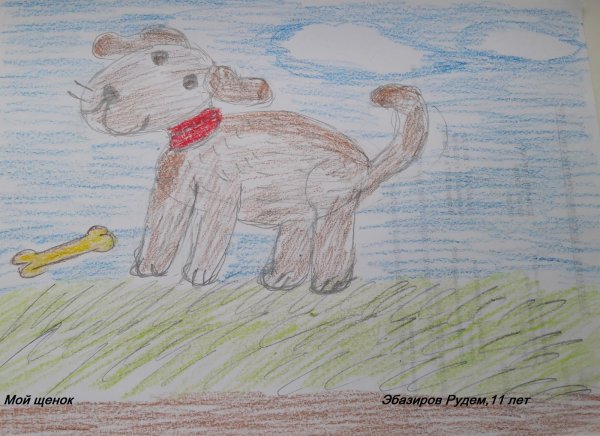 Куприн Барбос