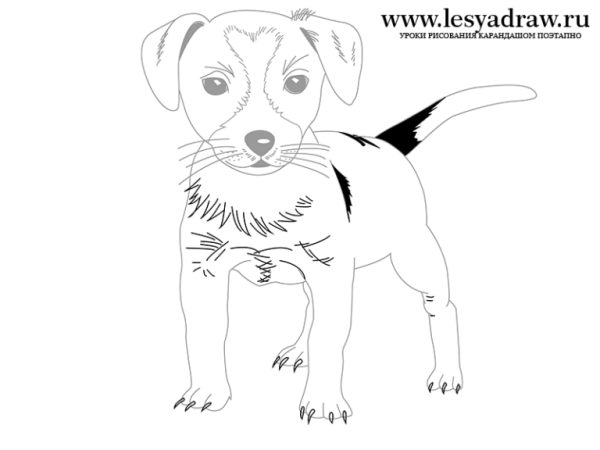 Сергей Михалков Трезор рисунок лёгкий