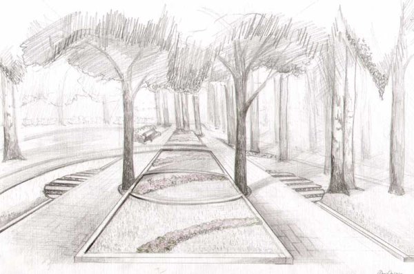 Рисунок парка