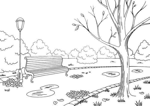 Парк осенью раскраска для детей