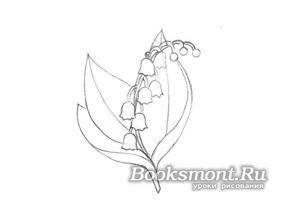 Поэтапный рисунок ландыша