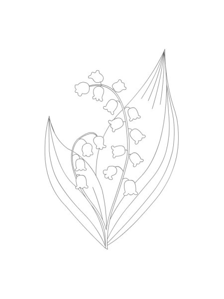 Ландыш эскиз