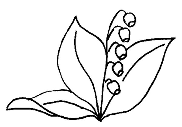 Ландыш раскраска для детей