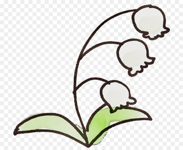 Ландыш рисование для детей