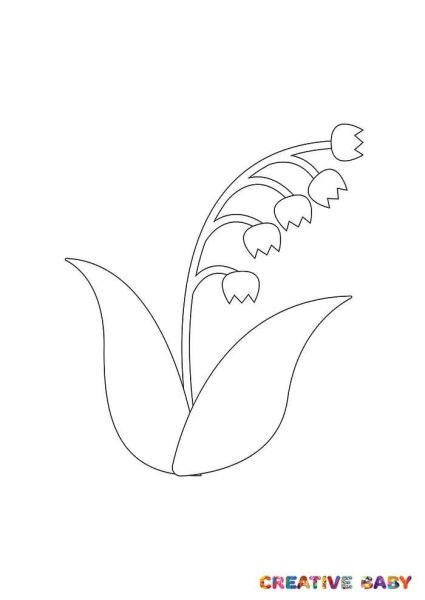 Ландыш раскраска