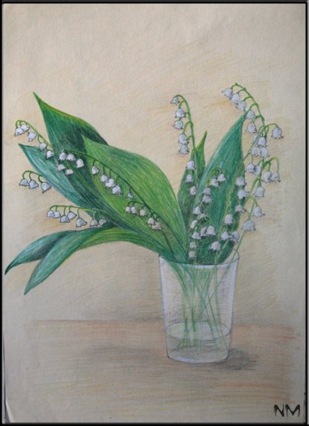 Ландыши карандашом