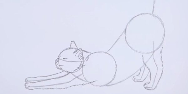 Нарисованные кошки потягивается