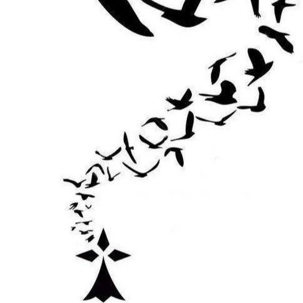 Стайка птиц вдалеке