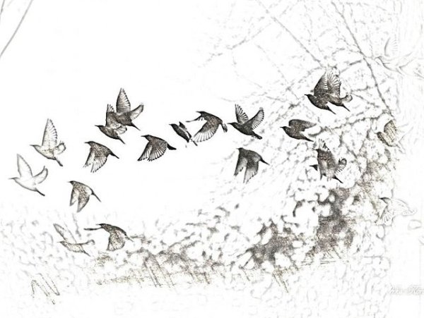 Журавлиный Клин вектор