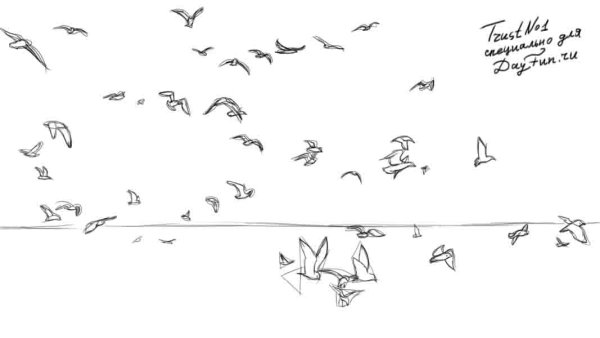 Галочка птица