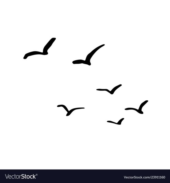 Рисование птиц в полете