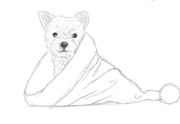 Рисунок собаки карандашом для срисовки