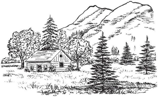 Зимний рисунок карандашом