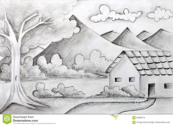 Раскраска природа