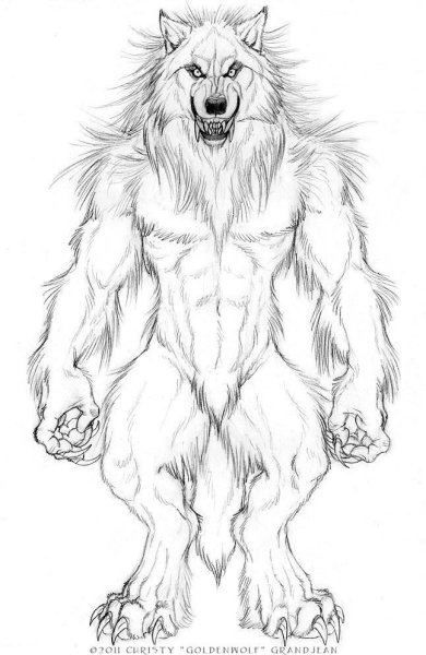 Набросок оборотня