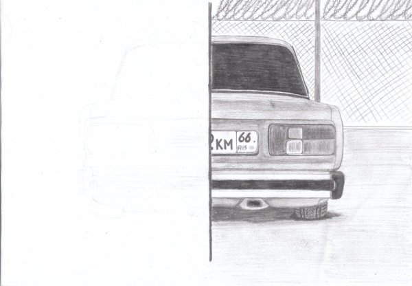 Рисунки тазов