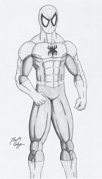 Человек паук для срисовки в полный рост