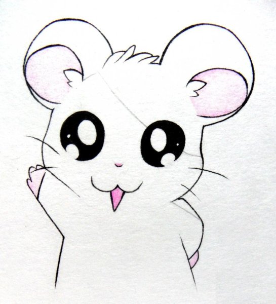 Рисунки для срисовки лёгкие