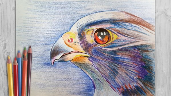 Несложные рисунки цветными карандашами