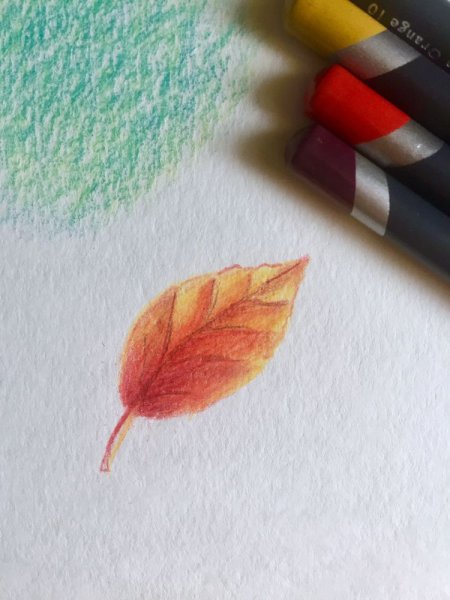 Техника рисования цветными карандашами