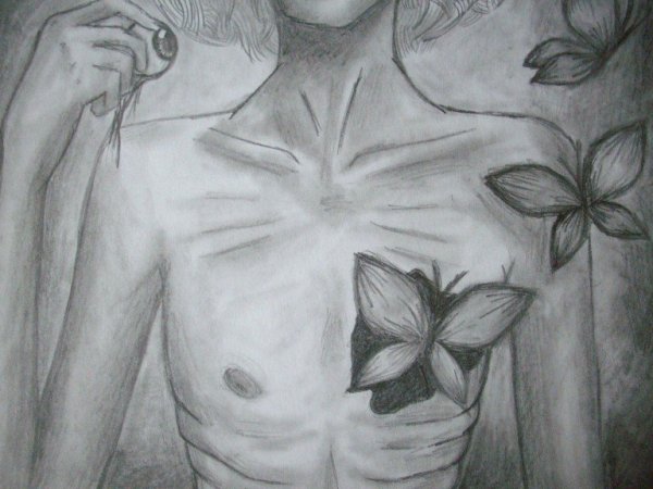 Рисунки карандашом