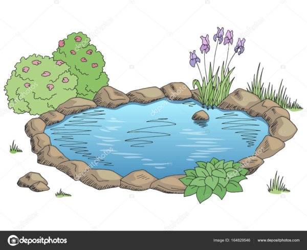 Водоем на белом фоне