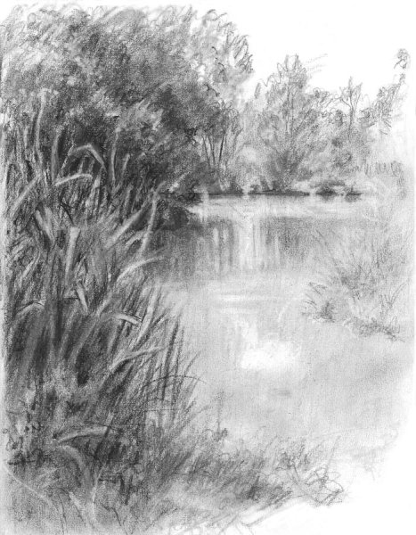 Пруд простым карандашом