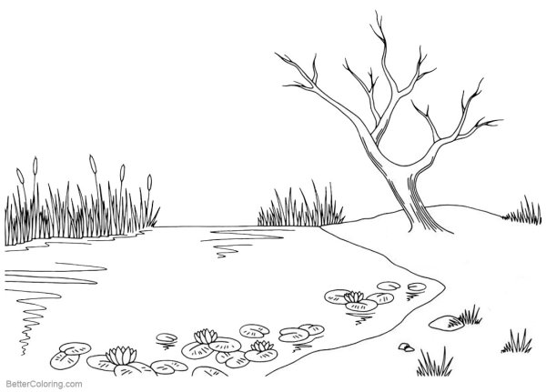 Болото раскраска для детей