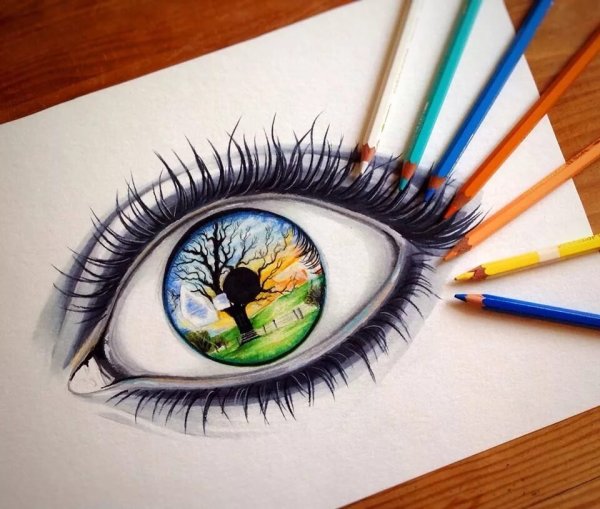 Сова для срисовки