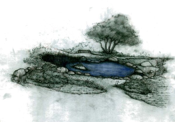 Эскиз водоема