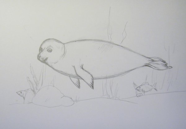 Пейзажи для срисовывания карандашом