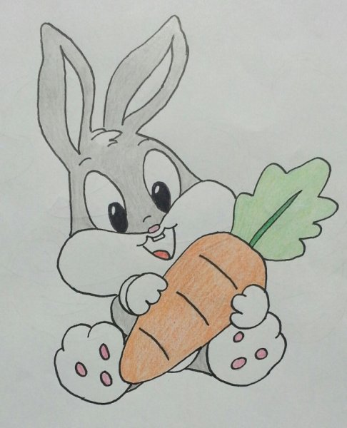 Рисунок зайца для срисовки