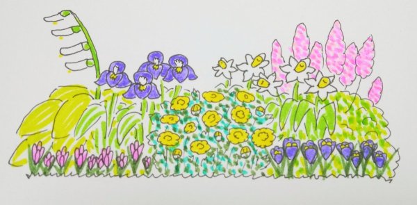 Клумба с цветами рисунок