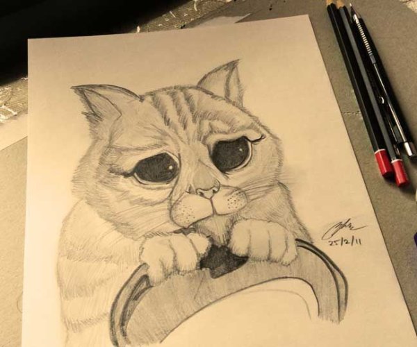 Нарисовать кота из Шрека