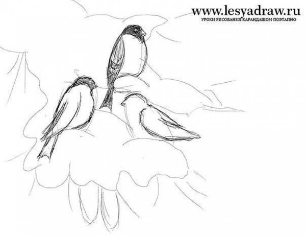 Зимний пейзаж карандашом