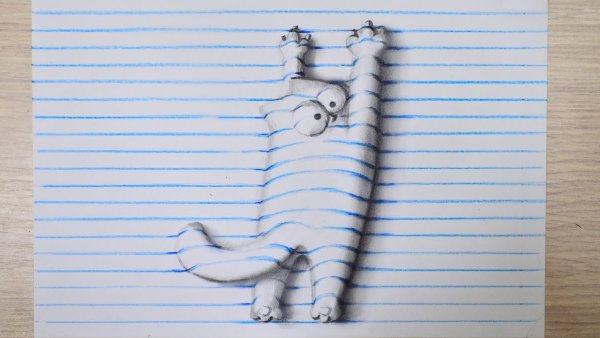 Рисунки на бумаге в линейку