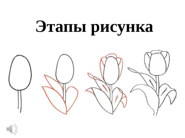 Этапы рисования
