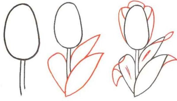 Этапы рисования цветов для детей