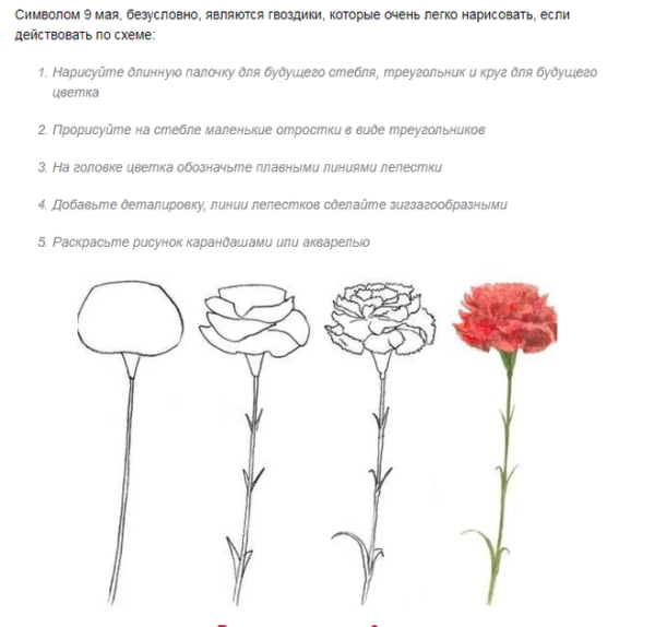 Схема рисования гвоздики