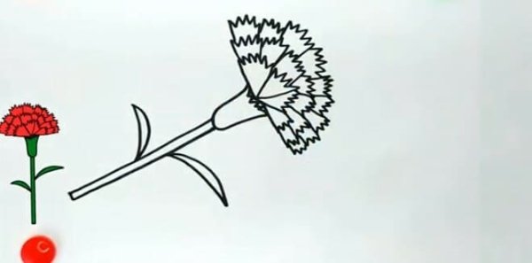 Нарисовать гвоздику