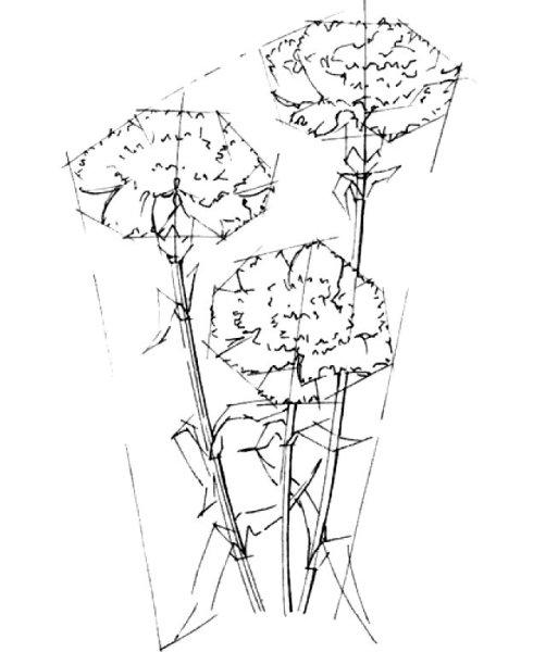 Шаблон гвоздики