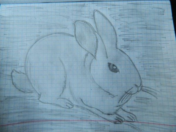 Рисунки карандашом лёгкие