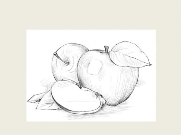 Рисунок слона для срисовки