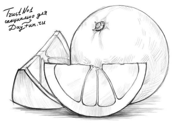 Поэтапное рисование мышки